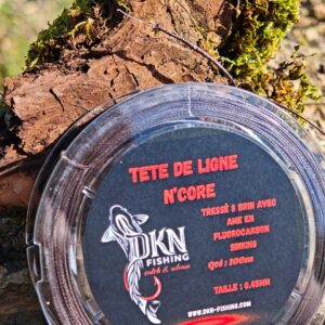 TÊTE DE LIGNE N'CORE X8+1CARBON